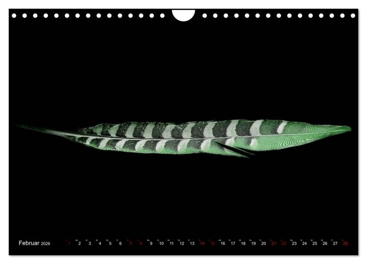 Produktbild: Federleichte Momente (Wandkalender 2026 DIN A4 quer), CALVENDO Monatskalender