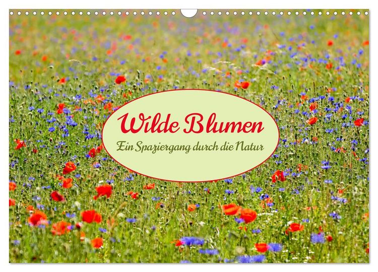 Produktbild: Wilde Blumen - ein Spaziergang durch die Natur (Wandkalender 2026 DIN A3 quer), CALVENDO Monatskalender