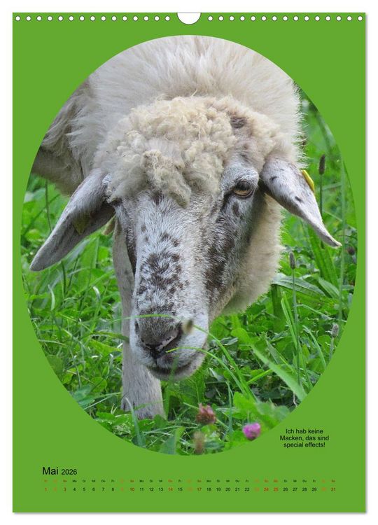 Produktbild: Scharfe Portraits (Wandkalender 2026 DIN A3 hoch), CALVENDO Monatskalender