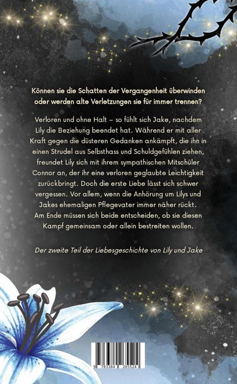 Produktbild: Haltlos - Lily und Jake