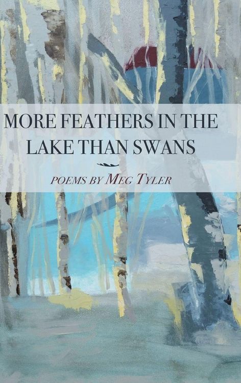 Produktbild: More Feathers in the Lake Than Swans