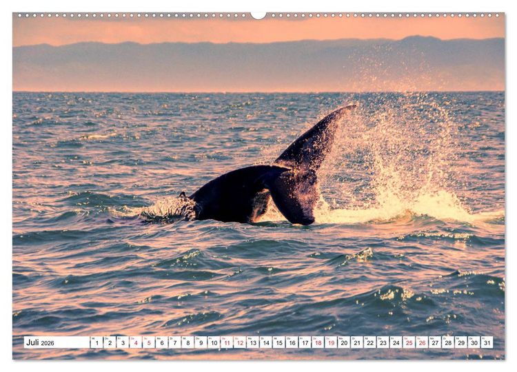 Produktbild: Karibische Momente - Eine Reise ins tropische Paradies (Wandkalender 2026 DIN A2 quer), CALVENDO Monatskalender