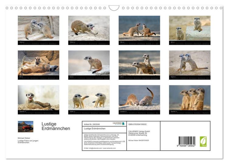 Produktbild: Lustige Erdm&auml;nnchen (Wandkalender 2027 DIN A3 quer), CALVENDO Monatskalender