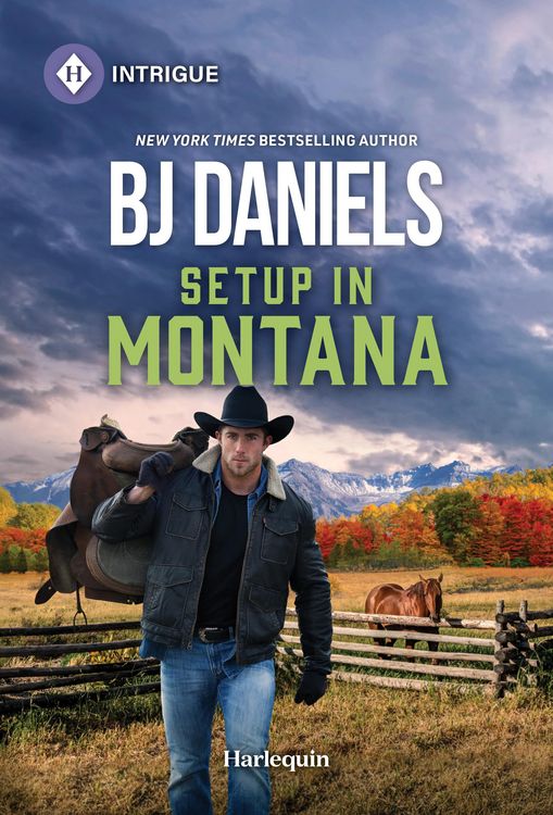 Produktbild: Setup in Montana