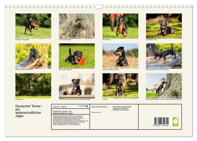 Produktbild: Deutscher Terrier - ein leidenschaftlicher J&auml;ger (Wandkalender 2026 DIN A3 quer), CALVENDO Monatskalender