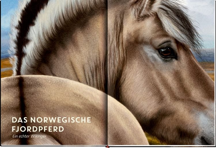 Produktbild: Lebensgro&szlig; - Pferde aus aller Welt