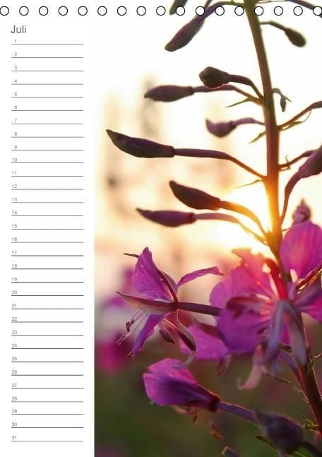 Produktbild: Malerisches Teufelsmoor (Tischkalender immerw&auml;hrend DIN A5 hoch)
