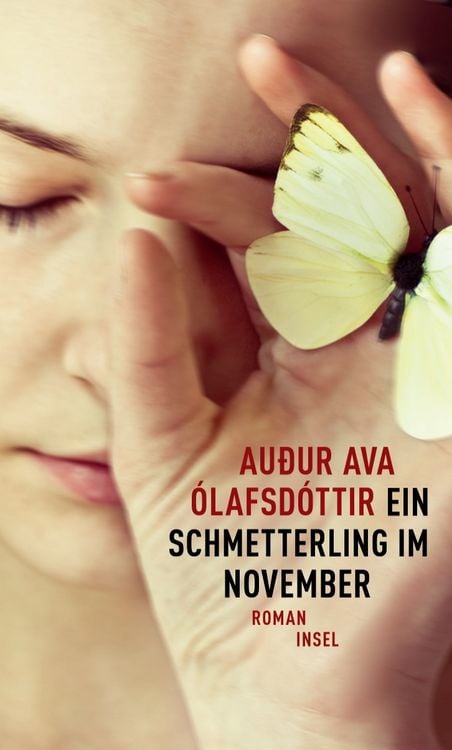 Produktbild: Ein Schmetterling im November
