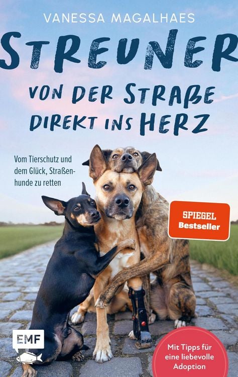 Produktbild: Streuner - von der Stra&szlig;e direkt ins Herz