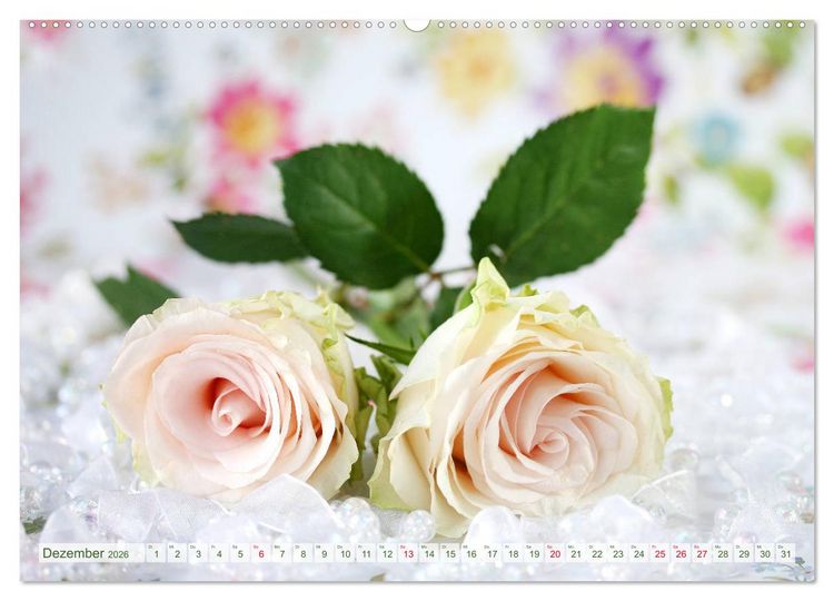 Produktbild: So viele sch&ouml;ne Rosen (Wandkalender 2026 DIN A2 quer), CALVENDO Monatskalender
