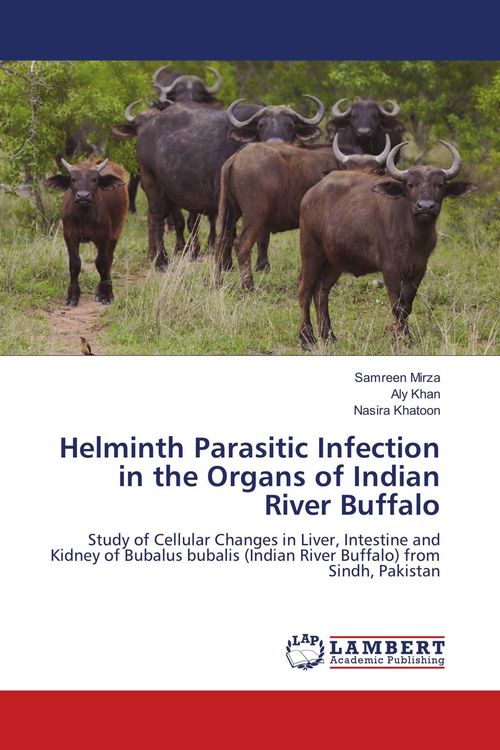 Produktbild: Helminth Parasitic Infection in the Organs of Indian River Buffalo