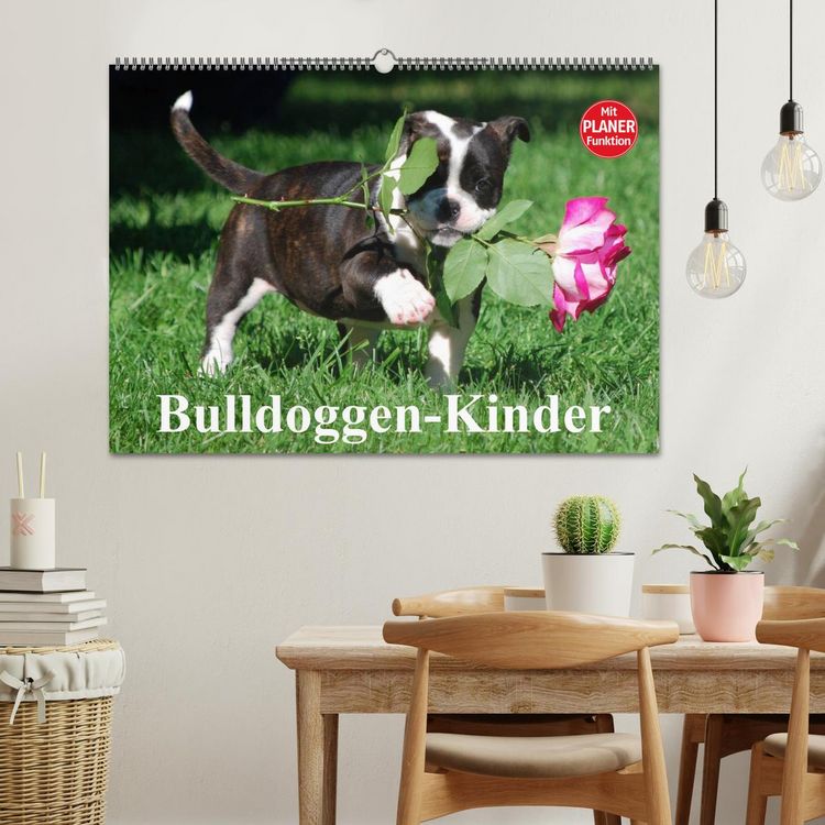 Produktbild: Bulldoggen-Kinder (Wandkalender 2026 DIN A2 quer), CALVENDO Monatskalender