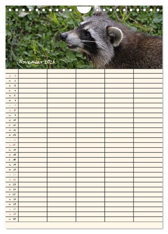 Produktbild: Waschb&auml;ren Familienplaner (Wandkalender 2026 DIN A4 hoch), CALVENDO Monatskalender