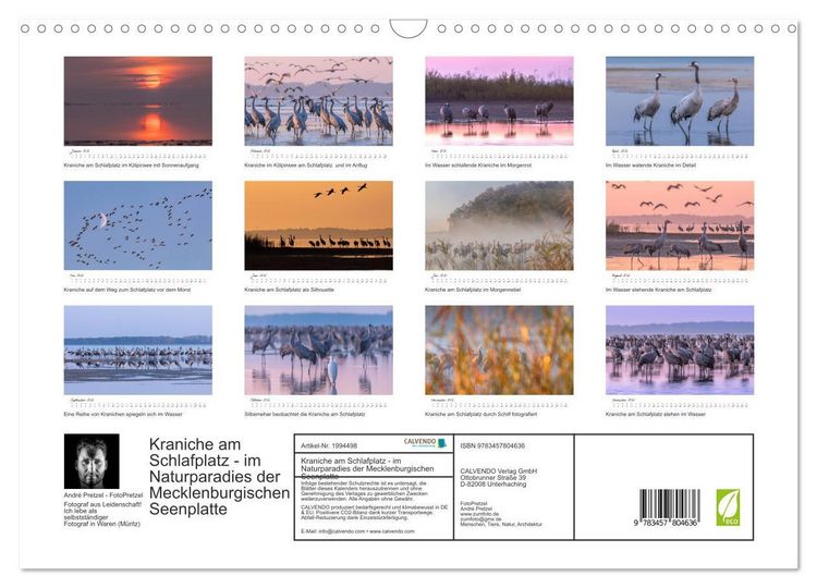 Produktbild: Kraniche am Schlafplatz - im Naturparadies der Mecklenburgischen Seenplatte (Wandkalender 2026 DIN A3 quer), CALVENDO Monatskalender