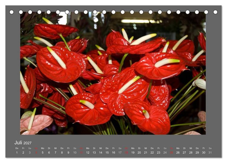 Produktbild: Madeiras Blumenwelt (Tischkalender 2027 DIN A5 quer), CALVENDO Monatskalender
