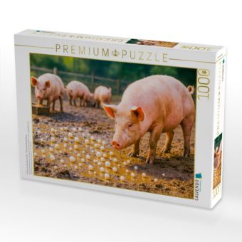 Produktbild: CALVENDO Puzzle Perlen vor die S&auml;ue werfen - Verschwendung deluxe | 1000 Teile Lege-Gr&ouml;&szlig;e 64x48cm Foto-Puzzle f&uuml;r gl&uuml;ckliche Stunden