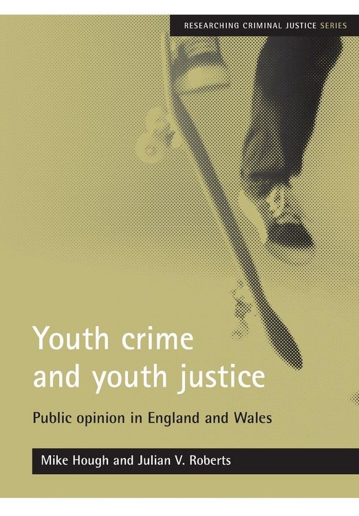 Produktbild: Youth crime and youth justice