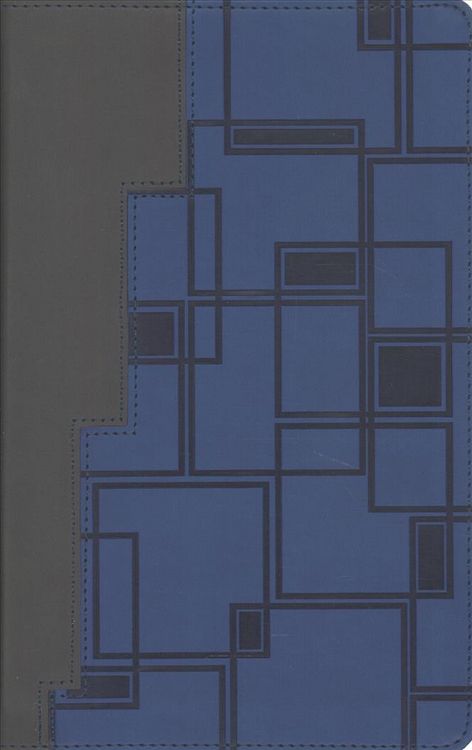 Produktbild: Niv Thinline Bible For Teens I