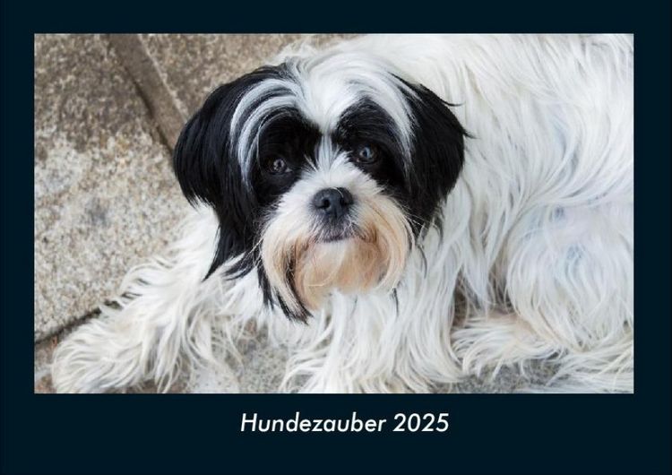 Produktbild: Hundezauber 2025 Fotokalender DIN A4