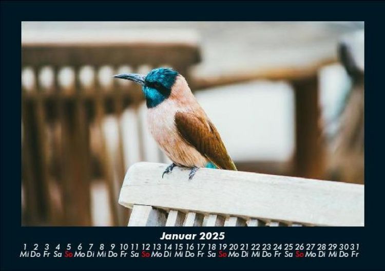 Produktbild: Tierkalender 2025 Fotokalender DIN A5