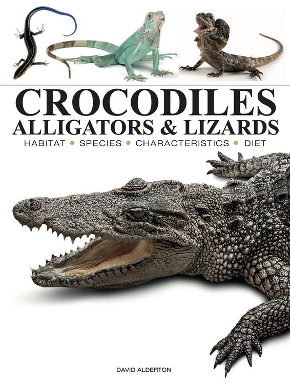 Produktbild: Crocodiles, Alligators & Lizards