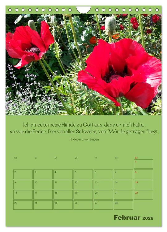 Produktbild: Erkenntnis und Weisheit - Hildegard von Bingen (Wandkalender 2026 DIN A4 hoch), CALVENDO Monatskalender