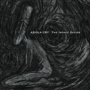 Produktbild: The Ironic Divide