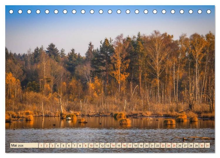 Produktbild: Herbst im Schwenninger Moos (Tischkalender 2026 DIN A5 quer), CALVENDO Monatskalender