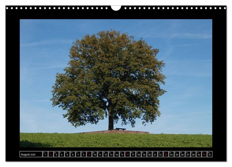 Produktbild: Odenwald - Landschaft sehen (Wandkalender 2026 DIN A3 quer), CALVENDO Monatskalender