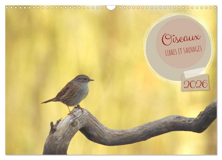 Produktbild: Oiseaux libres et sauvages (Calendrier mural 2026 DIN A3 vertical), CALVENDO calendrier mensuel