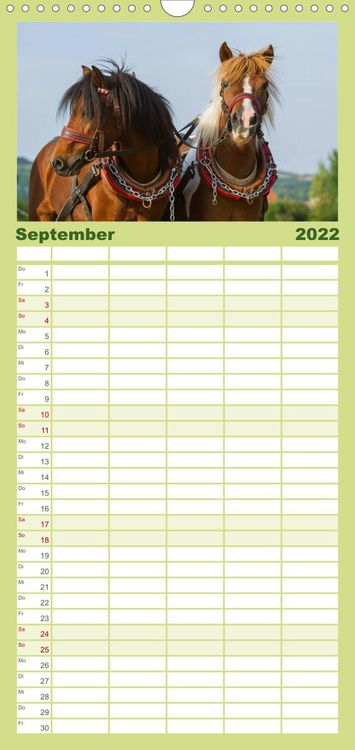 Produktbild: Welt der Pferde - Familienplaner hoch (Wandkalender 2022 , 21 cm x 45 cm, hoch)