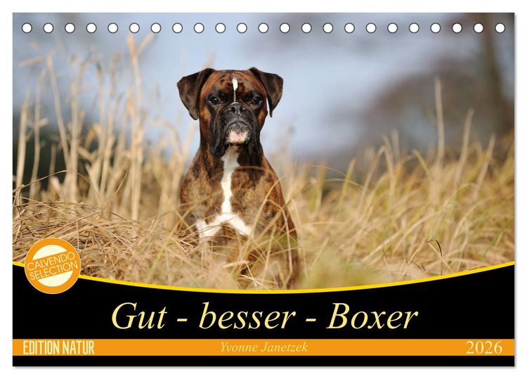 Produktbild: Gut - besser - Boxer (Tischkalender 2026 DIN A5 quer), CALVENDO Monatskalender