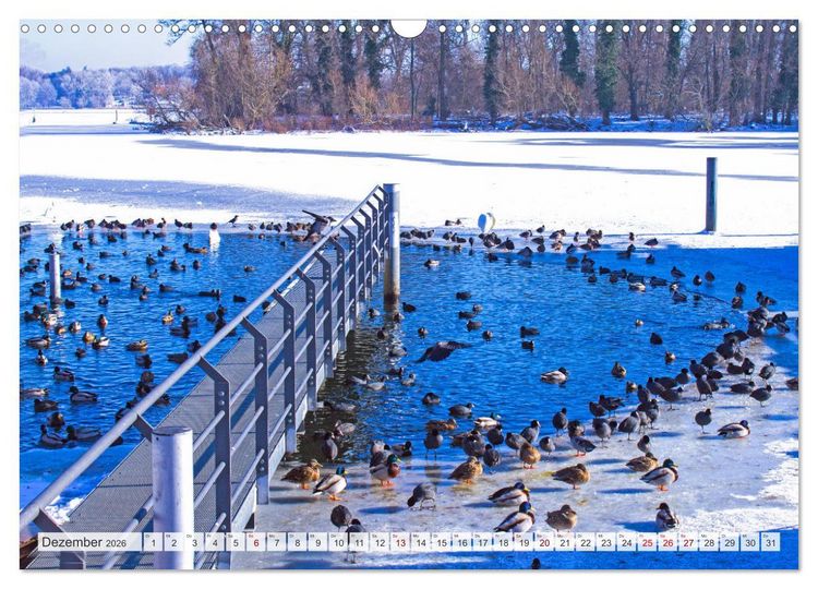 Produktbild: Masuren - Polens Seen-Paradies (Wandkalender 2026 DIN A3 quer), CALVENDO Monatskalender