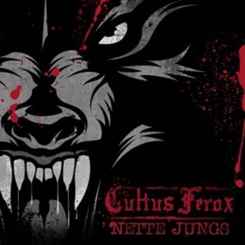 Produktbild: Nette Jungs
