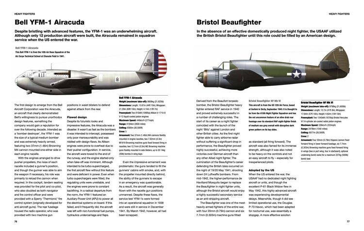 Produktbild: American Fighter Aircraft of World War II
