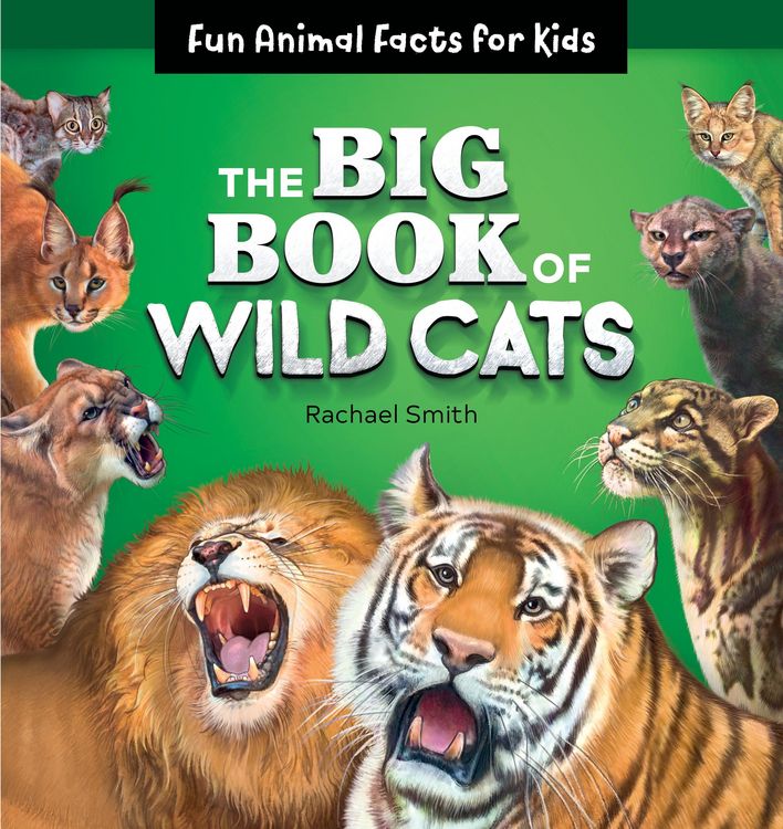 Produktbild: Big Book of Wild Cats