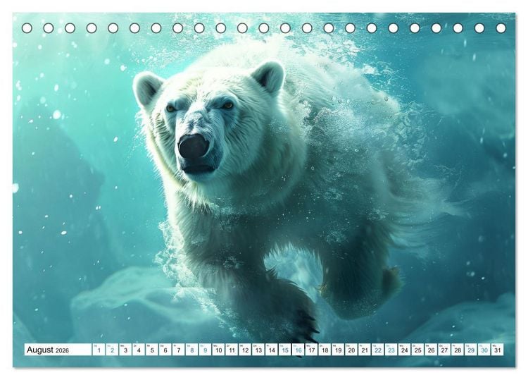 Produktbild: Wei&szlig;e W&auml;chter des Nordens: Ein Jahr im Reich der Eisb&auml;ren (Tischkalender 2026 DIN A5 quer), CALVENDO Monatskalender
