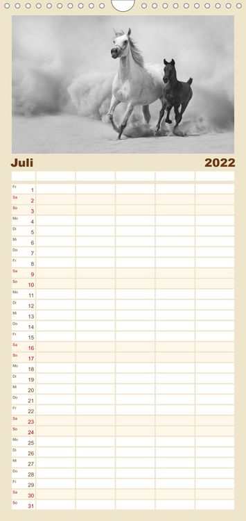Produktbild: Familienplaner Arabische Pferde (Wandkalender 2022 , 21 cm x 45 cm, hoch)