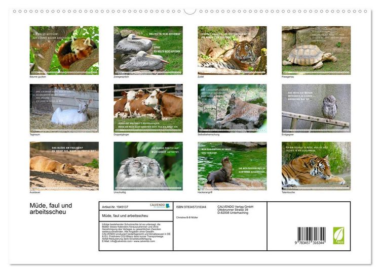 Produktbild: M&uuml;de, faul und arbeitsscheu (hochwertiger Premium Wandkalender 2026 DIN A2 quer), Kunstdruck in Hochglanz