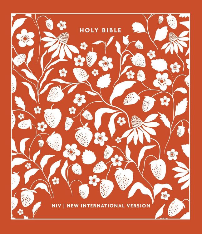 Produktbild: NIV Clothbound Journalling Bible