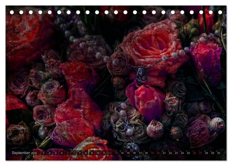 Produktbild: Gothic Rose - Rosen aus dem Garten der Finsternis (Tischkalender 2026 DIN A5 quer), CALVENDO Monatskalender