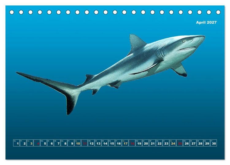 Produktbild: Unterwasser-Galerie (Tischkalender 2027 DIN A5 quer), CALVENDO Monatskalender