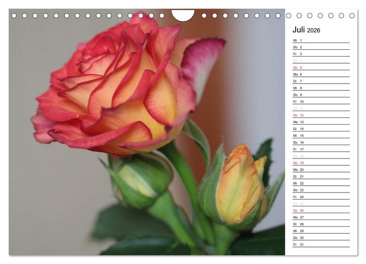 Produktbild: Zauberhafte Rosen (Wandkalender 2026 DIN A4 quer), CALVENDO Monatskalender