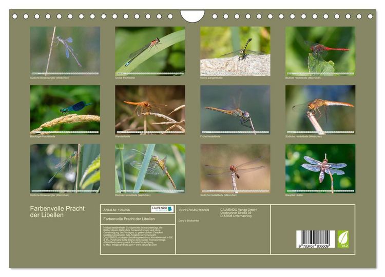 Produktbild: Farbenvolle Pracht der Libellen (Wandkalender 2026 DIN A4 quer), CALVENDO Monatskalender