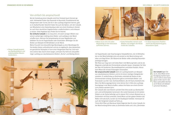Produktbild: Wohnungskatzen