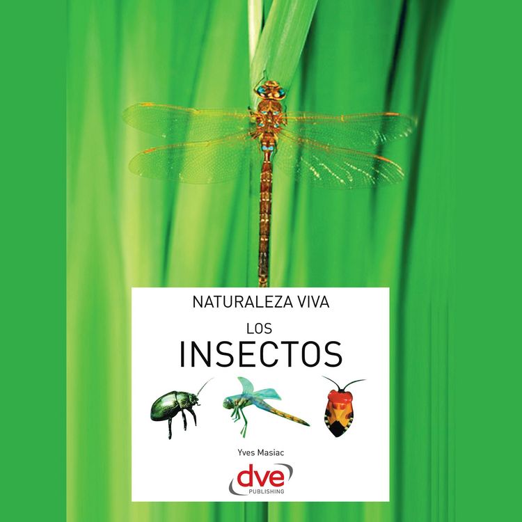 Produktbild: Los insectos