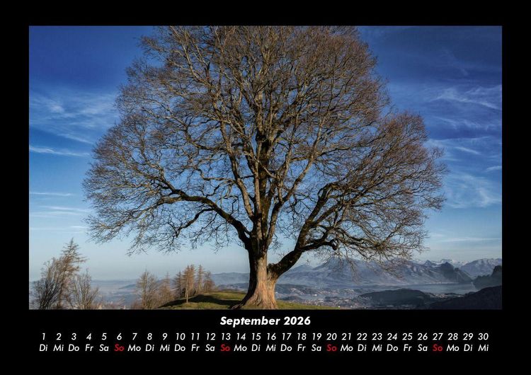 Produktbild: B&auml;ume 2026 Fotokalender DIN A3