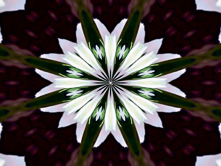 Produktbild: CALVENDO Puzzle Blume des Lebens | 1000 Teile Lege-Gr&ouml;&szlig;e 64x48cm Foto-Puzzle f&uuml;r gl&uuml;ckliche Stunden