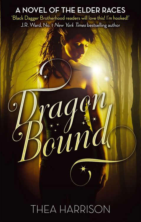 Produktbild: Dragon Bound