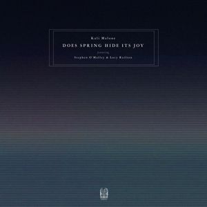 Produktbild: Does Spring Hide Its Joy